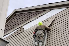 Best Steel Siding Installation  in Hlsboro, IL